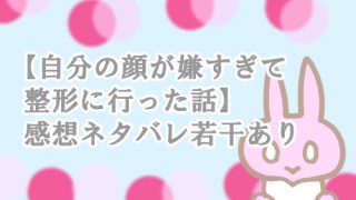自分の顔が嫌すぎて整形 ネタバレ 感想